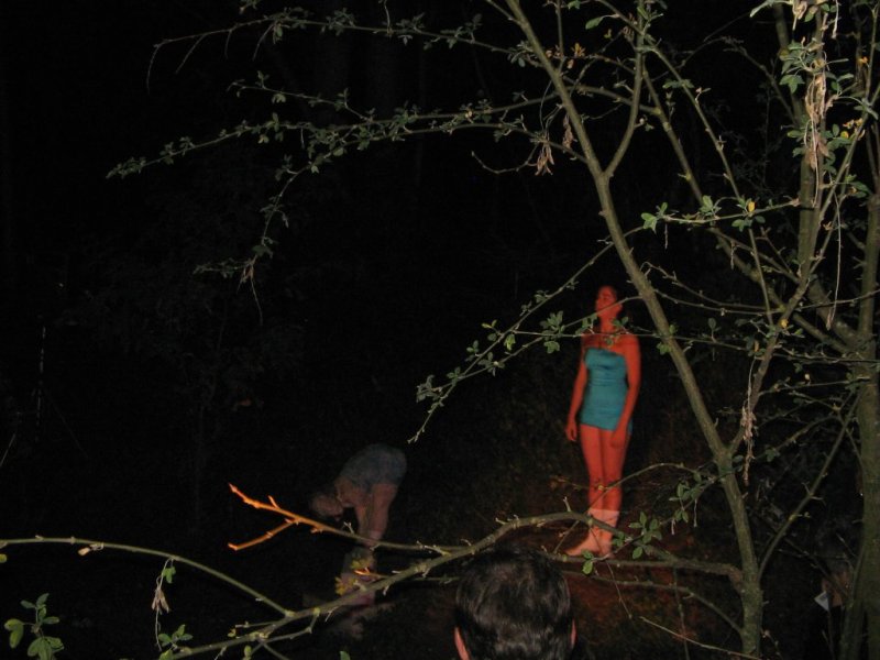 Picture preview