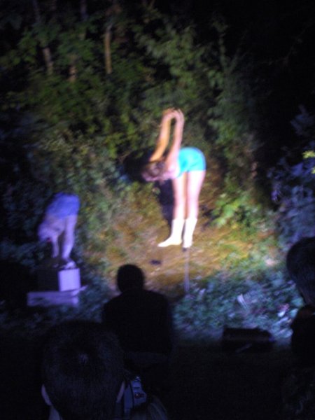 Picture preview