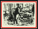 thumbnails/000-01-Fafa.jpg.small.jpeg