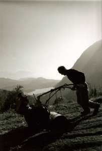 orti e paesaggio agricolo in Valle dei Laghi
