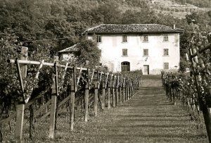 orti e paesaggio agricolo in Valle dei Laghi