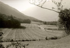 orti e paesaggio agricolo in Valle dei Laghi