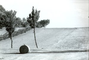 orti e paesaggio agricolo in Valle dei Laghi