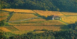 orti e paesaggio agricolo in Valle dei Laghi