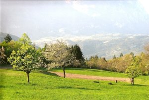 orti e paesaggio agricolo in Valle dei Laghi