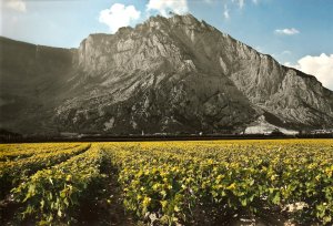 orti e paesaggio agricolo in Valle dei Laghi