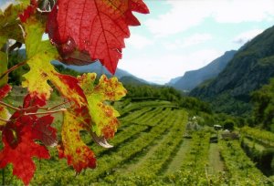orti e paesaggio agricolo in Valle dei Laghi