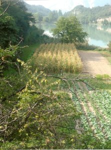 orti e paesaggio agricolo in Valle dei Laghi