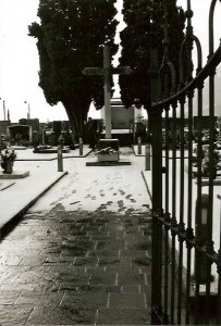Il regno del silenzio