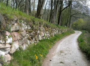 Fotografa la valle dei laghi 1 categoria sotto i 14 anni