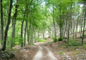 Fotografa la valle dei laghi 3 categoria sotto i 14 anni