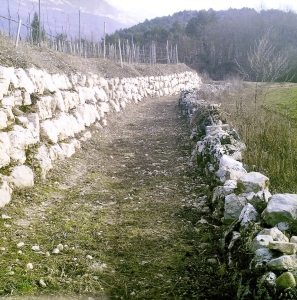 Fotografa la valle dei laghi 4 categoria sotto i 14 anni