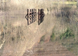 Fotografa la valle dei laghi - segnalata