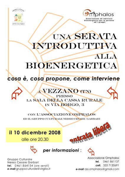 locandina serata bioenergia
