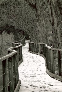 le stagioni in Valle dei Laghi