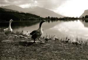 le stagioni in Valle dei Laghi
