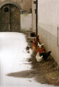 le stagioni in Valle dei Laghi
