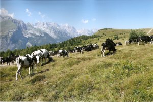 le stagioni in Valle dei Laghi